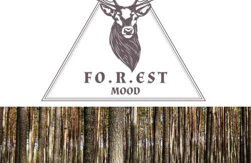 Forest Mood - Foto 59