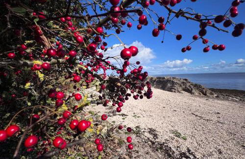 Williamsfield Cottage - Foto 5