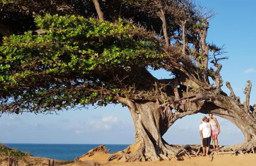 Paraiso de Maracajau 1 - Foto 25