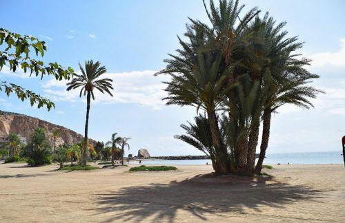 Alojamiento Oasis Playa - Foto 39