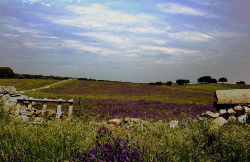 Casa Rural La Cuadraá - Foto 65