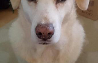 Apartment Lucky Star - 2 Bedroom, Sea View, Large Balcony, Free Parking, BBQ - Foto 47