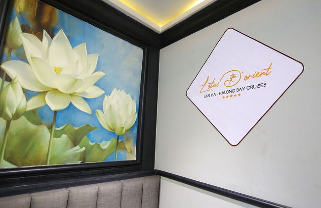 Lotus D'Orient Cruise - Foto 78