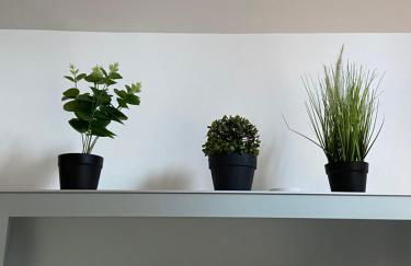 Le Mahonia - Foto 11