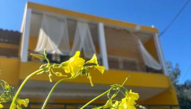 Το σπίτι της μέλισσας 1 - Foto 5