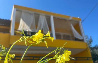 Το σπίτι της μέλισσας 1 - Foto 13