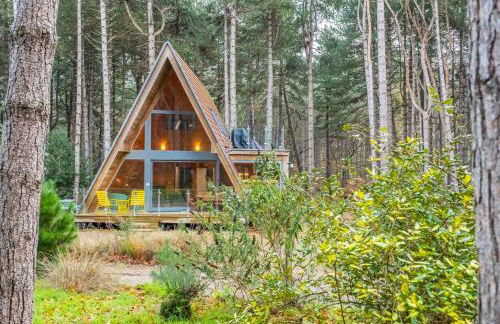 Woodpecker - Photo 45