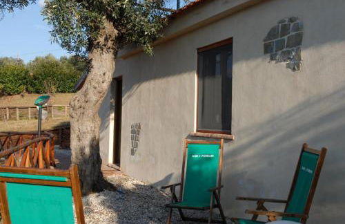 Agriturismo I Fornari - Foto 67