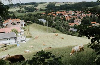 HEIMATEL - Ferienhaus Prinz-Lui - Foto 28
