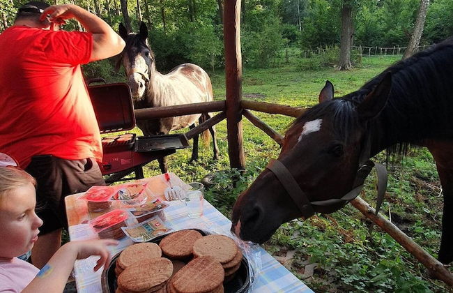 agroturystyka Kurnik Polski - Foto 21