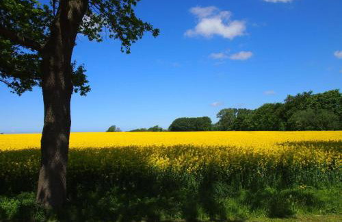 Gut-Rattelvitz-Parterre-A-hochwertig-Sauna-Kamin-eTankstelle-Spielscheune-15-000qm-Parkland - Foto 14