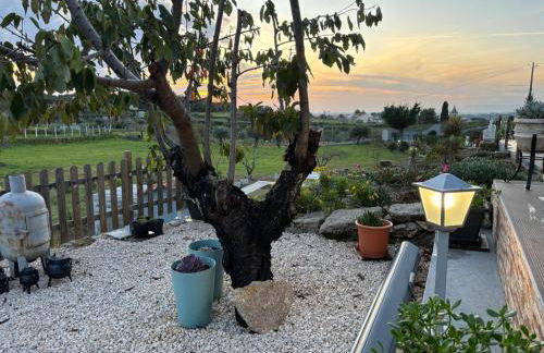 Quinta Santo Antonio - Foto 54