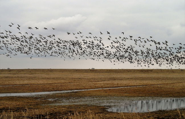Cozy Holiday Home with Hot Tub in Lauwersoog by Lake - Foto 36