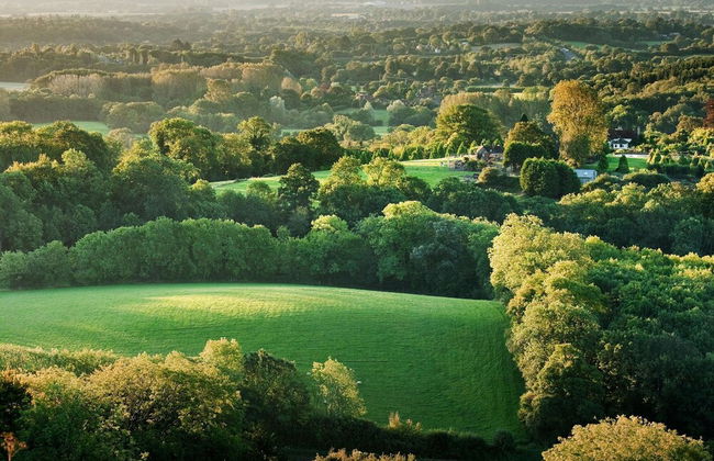 Beautiful 4-bed Close to South Downs Goodwood - Foto 49