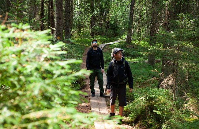Trilha pelo Parque Nacional Liesjärvi - Foto 7