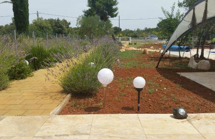 Olive Apartments - Photo 26