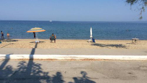 Paradise Blue - Foto 2