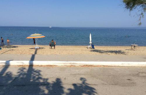 Paradise Blue - Foto 2