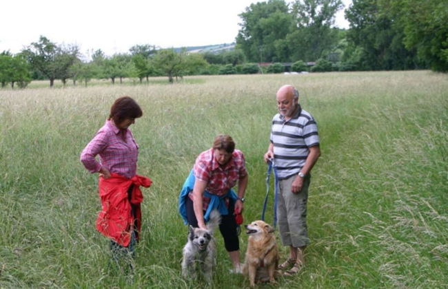 Mott Comfortable Holiday Residence - Foto 16