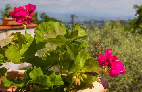 Poggio della Roverella Country House - Foto 56