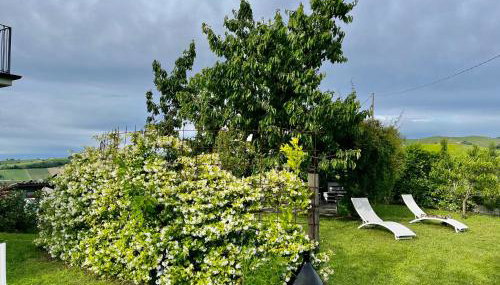 Casa Arcobaleno Holiday home apartments - Foto 4, Garden, Garden view