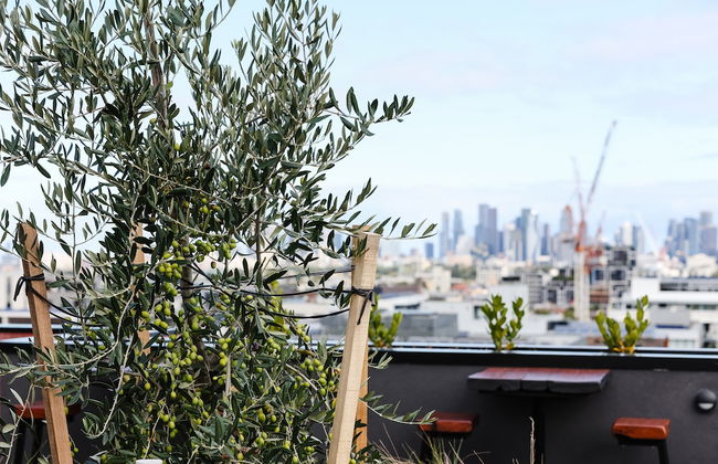 Rambla @ Solarino House - Foto 41