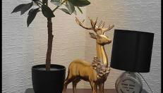 Criffel Cottage - Foto 2