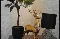 Criffel Cottage - Foto 2