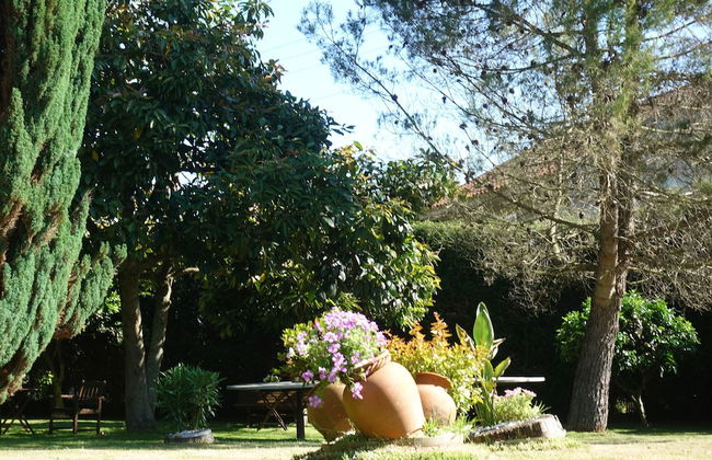 Casa Videira Turismo Rural - Foto 60