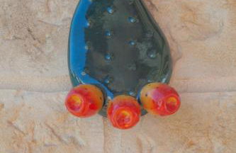 Casa Valerio - Foto 62