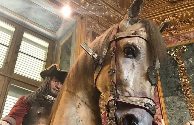 Visite privée du palais royal de Turin avec la chapelle du Saint-Suaire - Photo 6