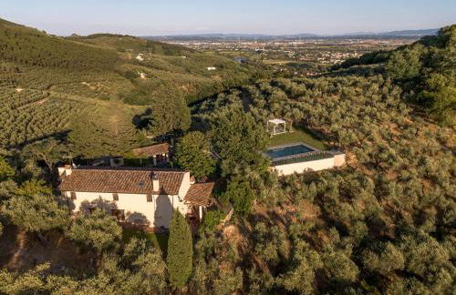 Villa in Tuscany with Pool and Olive Grove - Photo 32