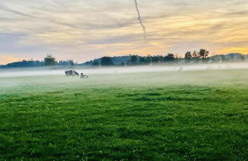 Charmantes Ferienhaus Luise im Allgäu - Foto 34