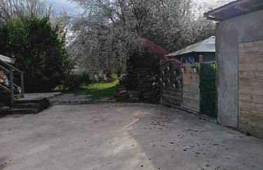 La Pensine du célèbre sorcier - Foto 35