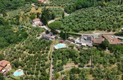 Villa l'Uliveta - Foto 2