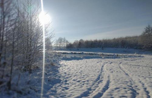 Między Olchami domek nad jeziorem. Noclegi całoroczne. Cisza, spokój. - Foto 44