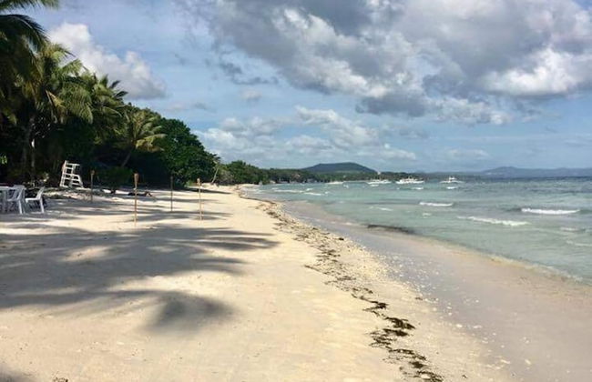 The Whitehouse by the Sea - Photo 52