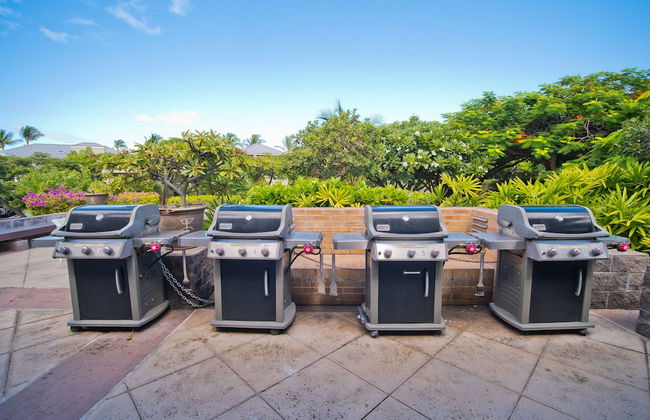 Hilton Pool Pass Luxe Waikoloa Villa Walk to Beach - Foto 36