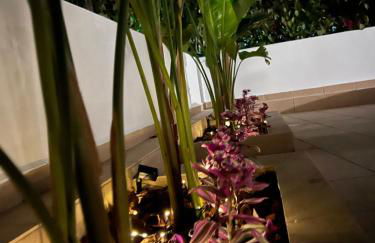 Elefanti Nani - Foto 43