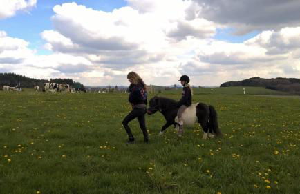 Funny-Farm - Foto 38