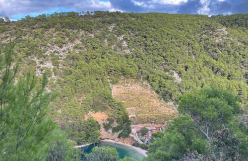 Apartments Stiniva Hvar - Studio Apartment With Terrace A2 - Foto 25