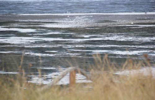 Haus Seesand Wittdün - Photo 16