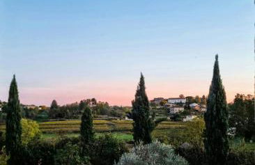 Les Vignes de Pagès - Villa de Standing - Foto 8