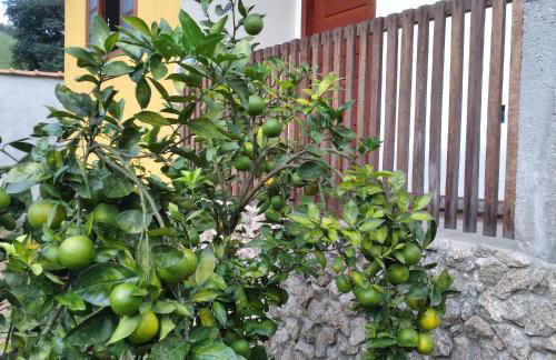 Aconchego De Minas Chalés Visconde de mauá - Photo 12