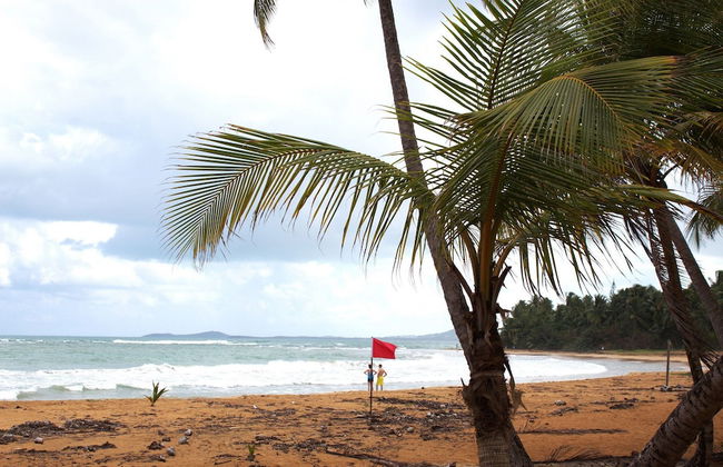 Beachfront Studios - Photo 53