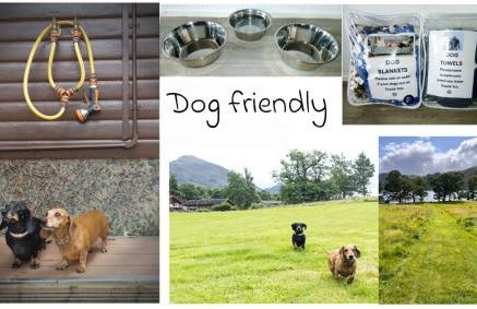 Lodge by the Lake - Lake District - Hot Tub - Foto 35