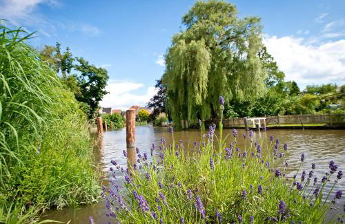 Deichkrönchen Ferienwohnung Altes Land Hamburg - Foto 16