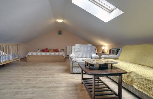 Villa in Svetvincenat with Pool & Beach - Foto 19