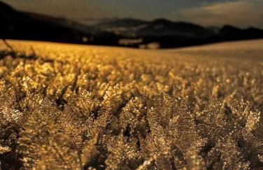 Allgäu Bergluft - Photo 7