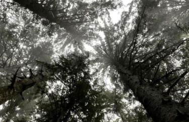 Cozy Waterfront Cottage with Hot Tub in Lakeside, Oregon - Foto 45